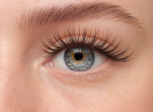 eye with lash lover lash