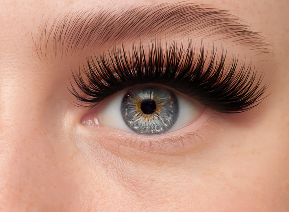 flutter lash extension box