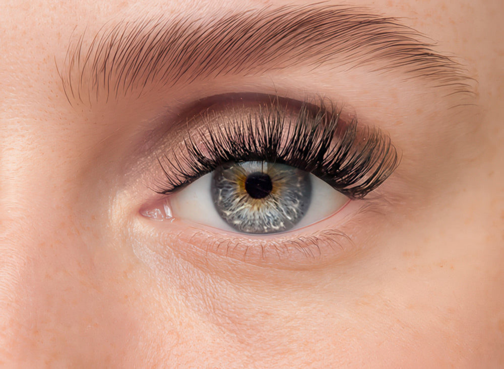 lilac lash extension box