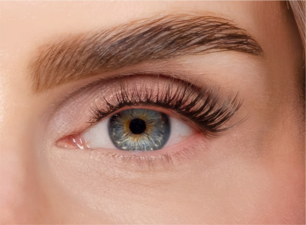 vogue lash extension box